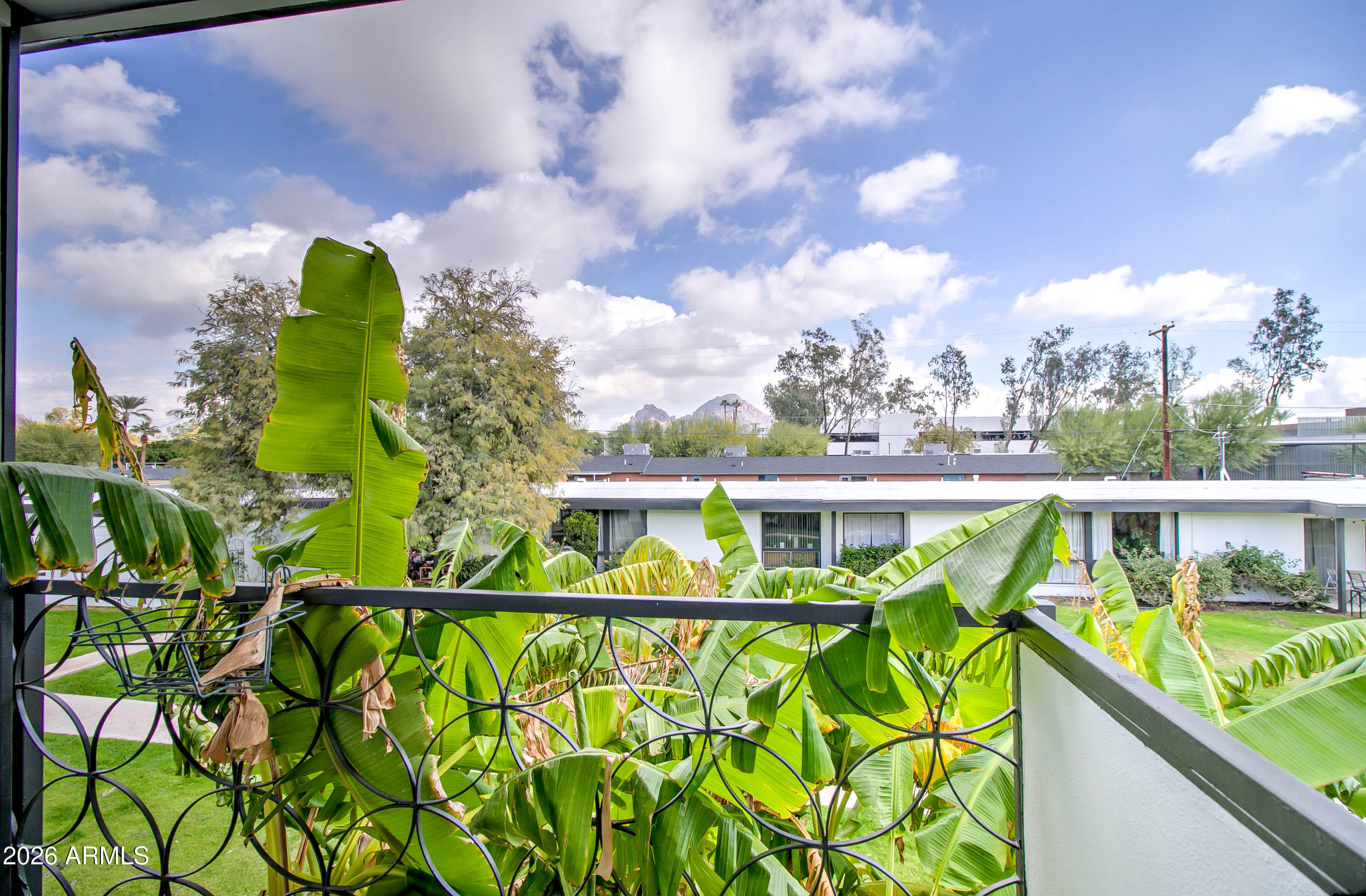 3242 East Camelback Road, Unit 207 Phoenix, AZ 85018 - Photo 5 of 25 Welcome to Martinique