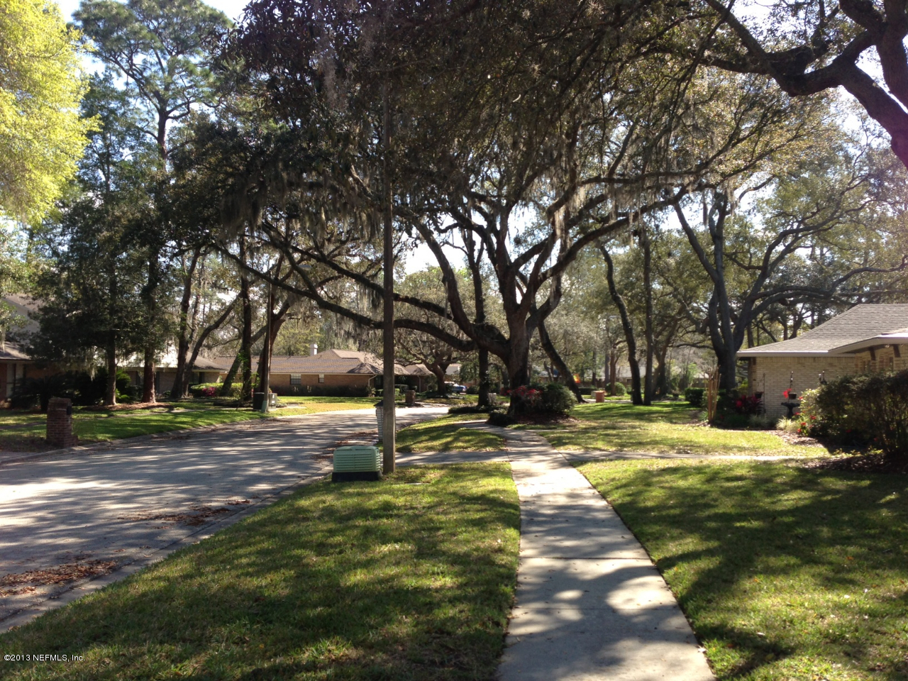 9628 Wexford Road Jacksonville, FL 32257 - Photo 16 of 16 a view of yard with tree
