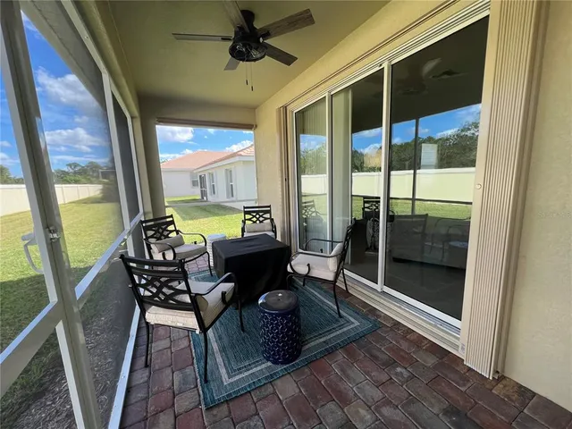 a view of a backyard with a large tree