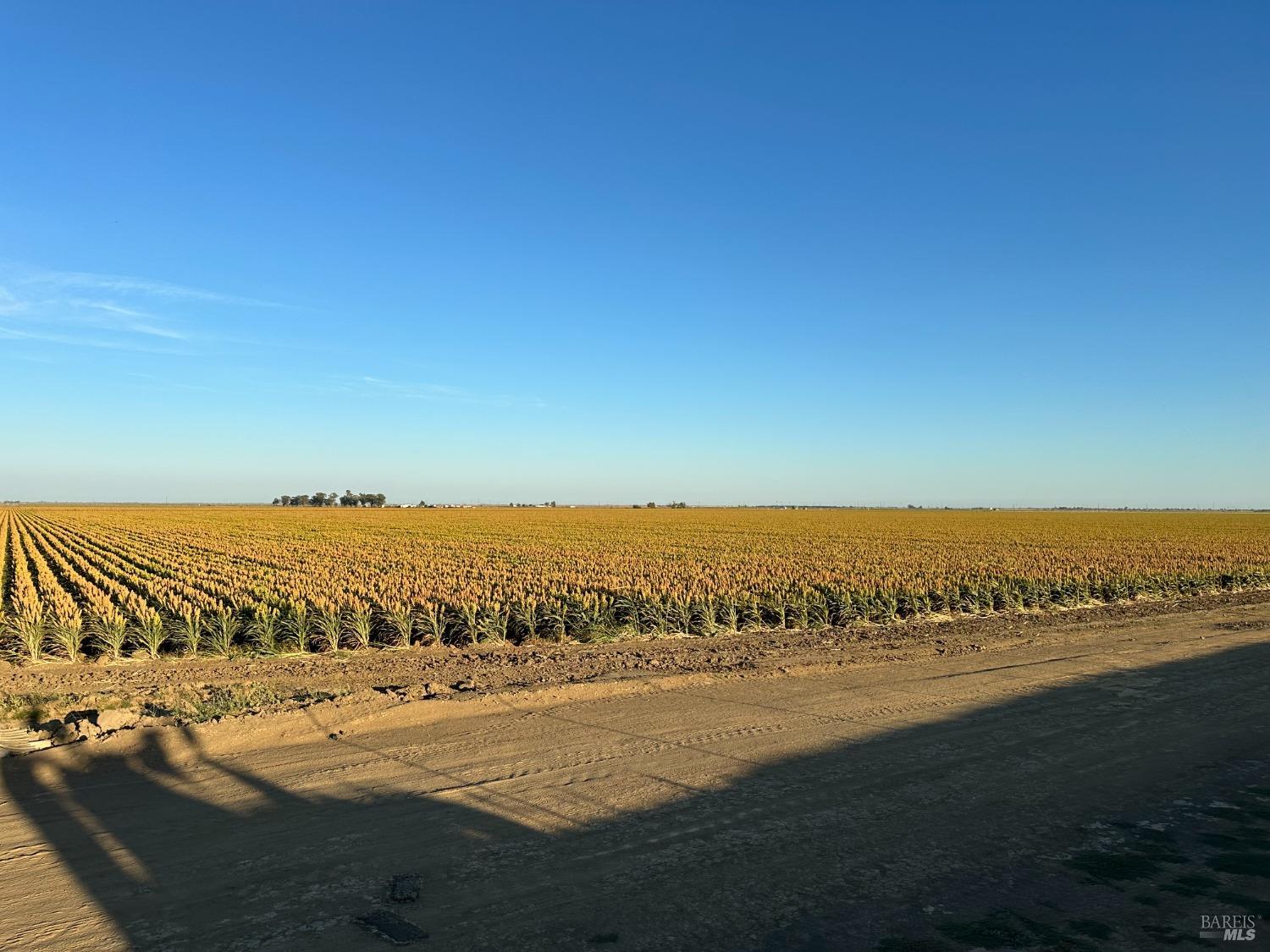 0 Binghamton Road Dixon, CA 95620 - Photo 11 of 13 a view of an ocean