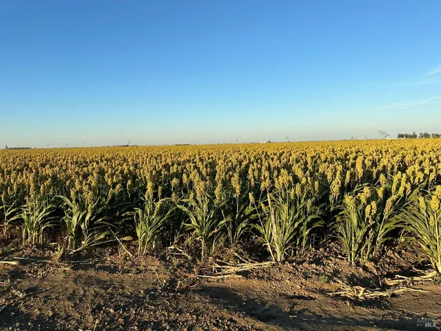 a view of street view