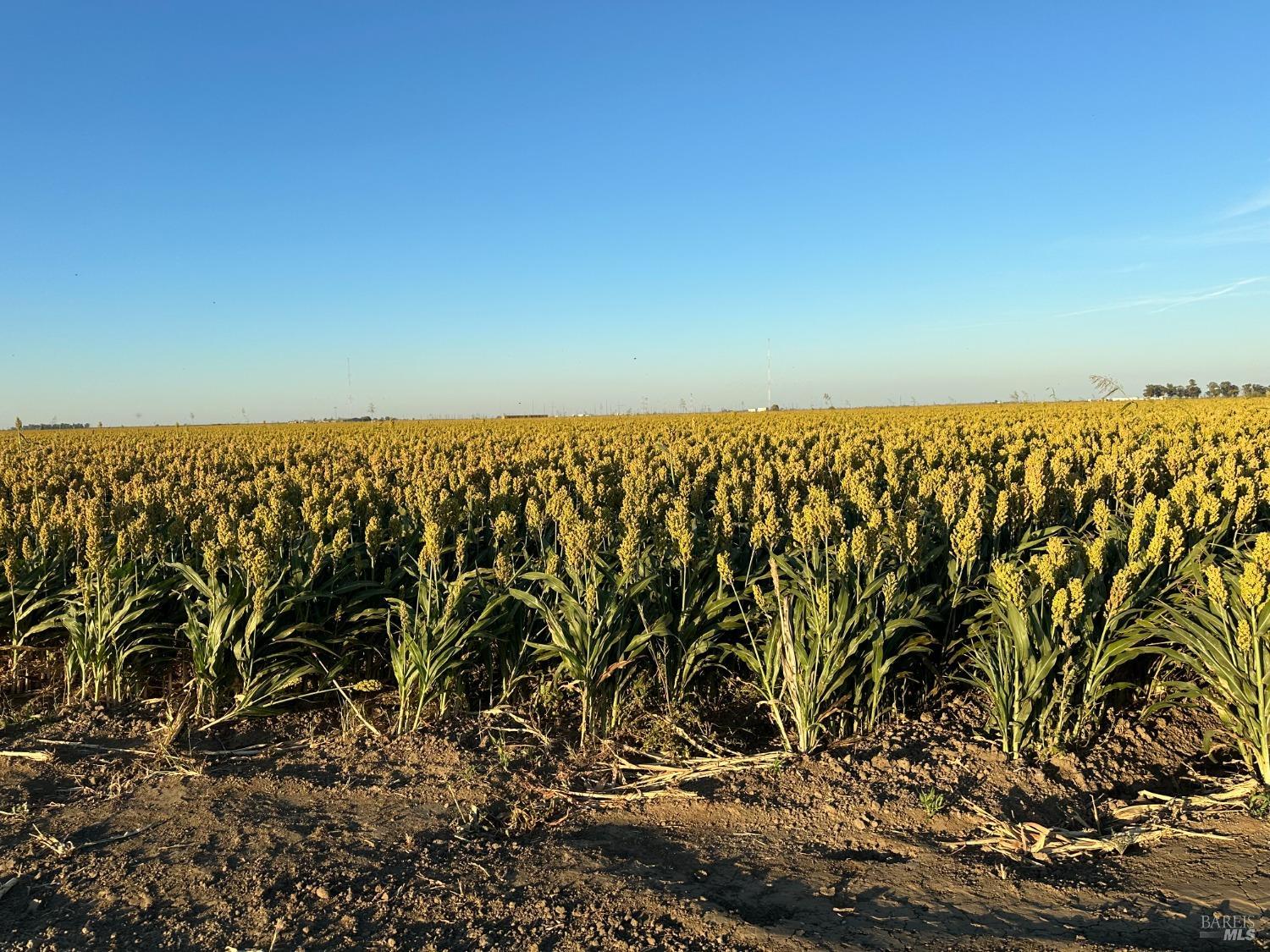 0 Binghamton Road Dixon, CA 95620 - Photo 12 of 13 a view of street view