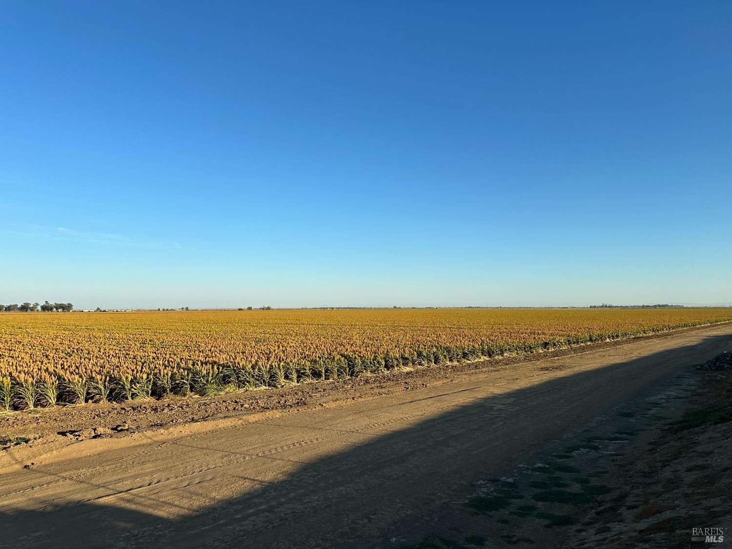 0 Binghamton Road Dixon, CA 95620 - Photo 10 of 13 a view of an ocean beach