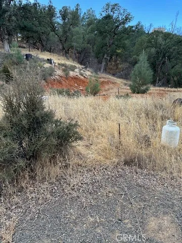 a view of a yard with a tree