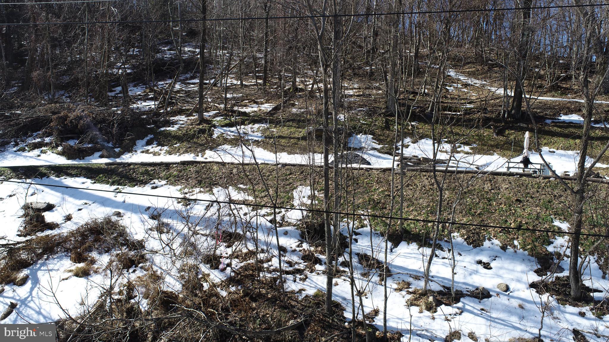 495 High Ridge Road Stanley, VA 22851 - Photo 2 of 22 Gallery Image 2