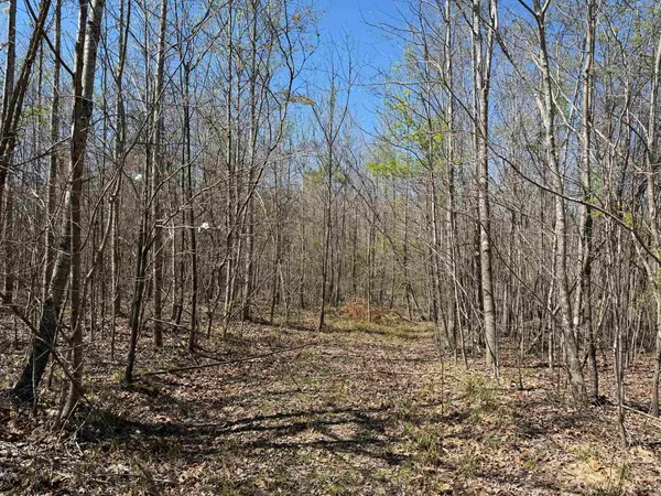 a view of empty room with trees