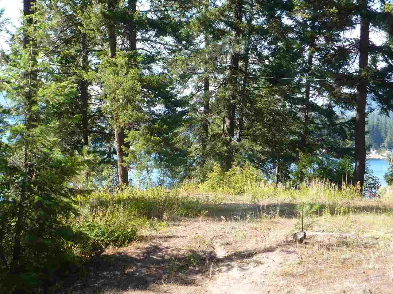 46562 Cedar Beau Road Loon Lake, WA 99148 - Photo 1 of 13