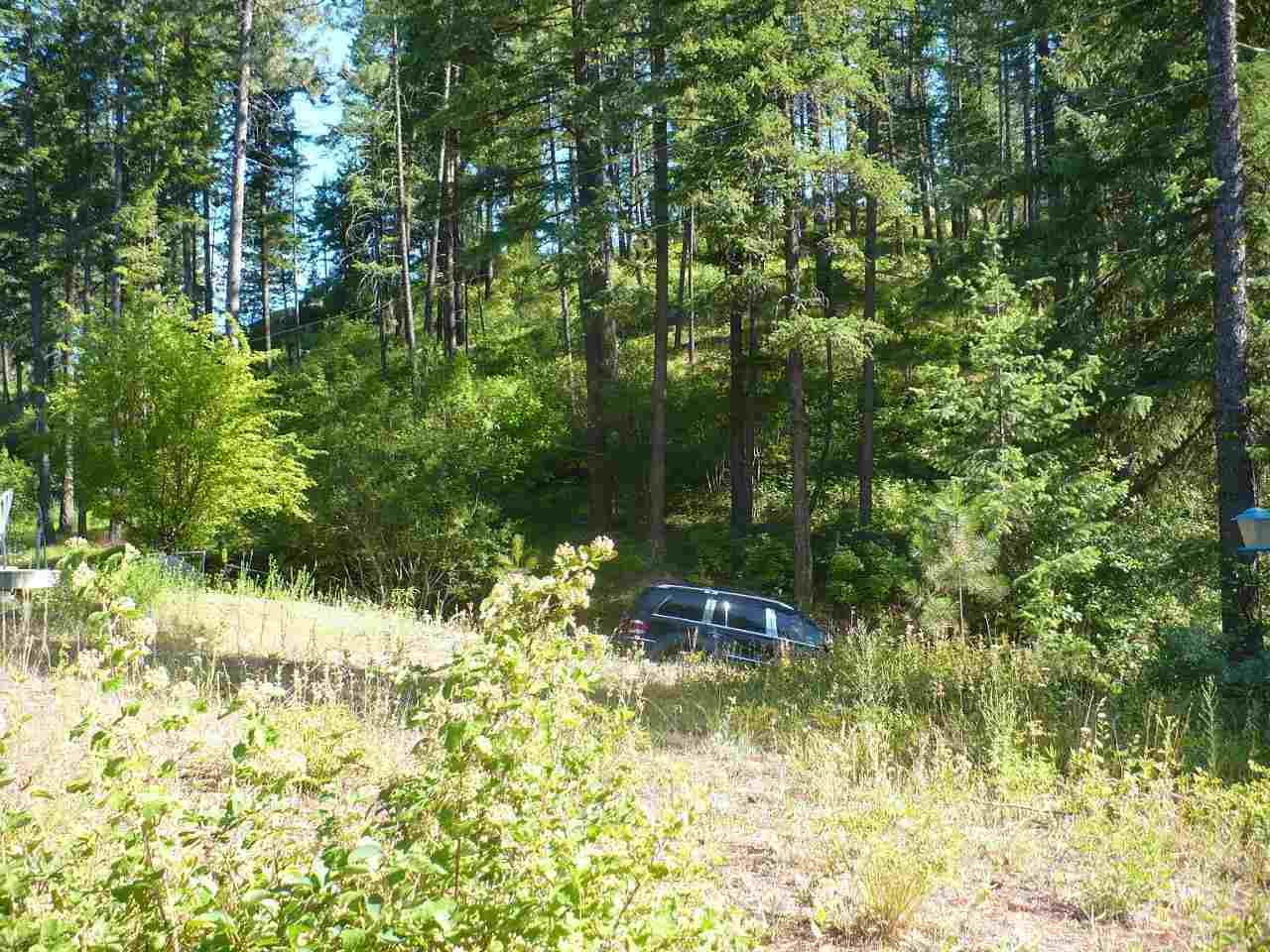 46562 Cedar Beau Road Loon Lake, WA 99148 - Photo 4 of 13