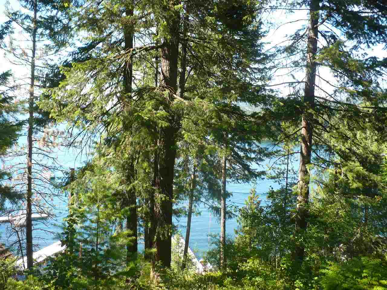 46562 Cedar Beau Road Loon Lake, WA 99148 - Photo 5 of 13
