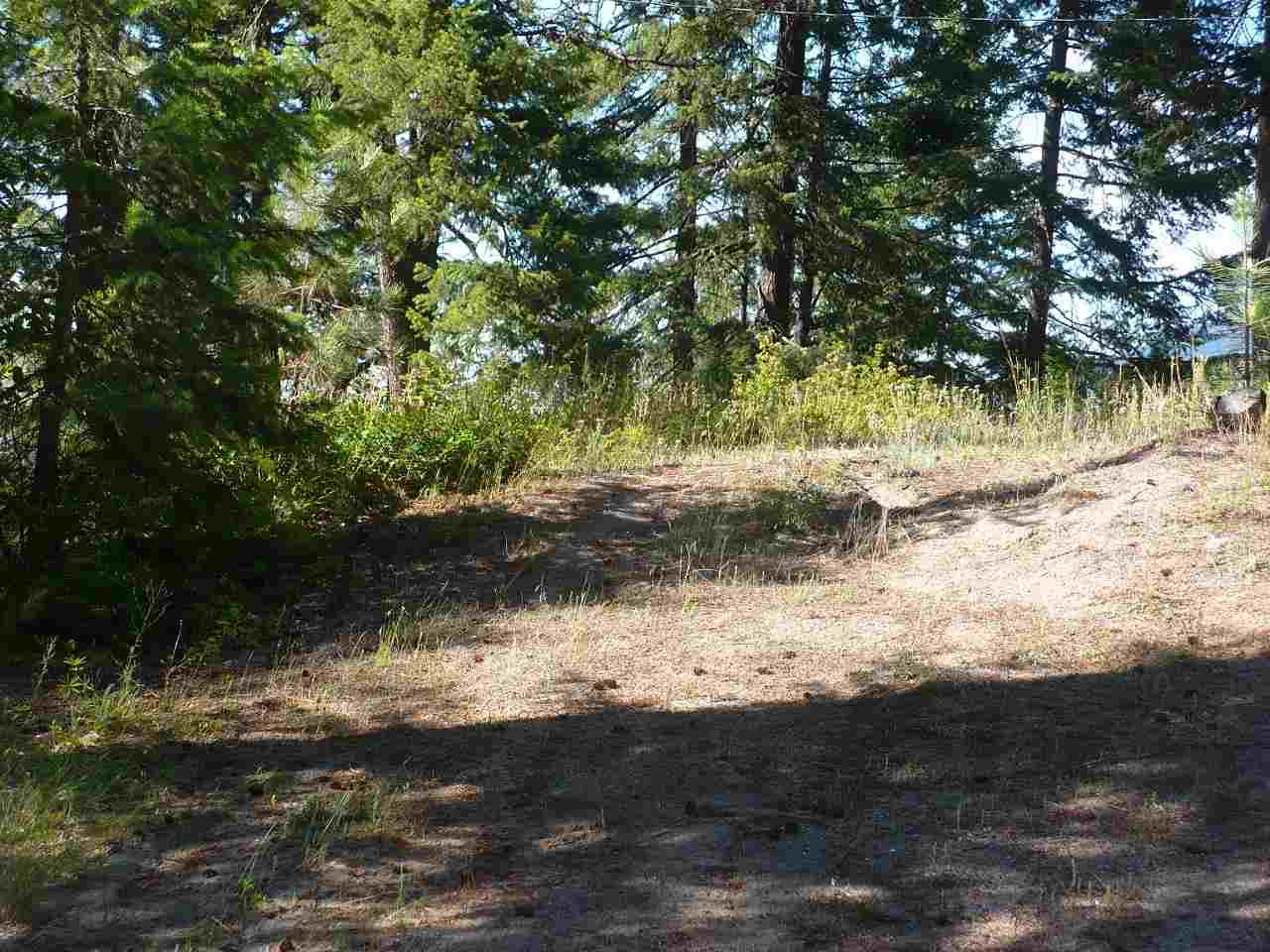 46562 Cedar Beau Road Loon Lake, WA 99148 - Photo 7 of 13