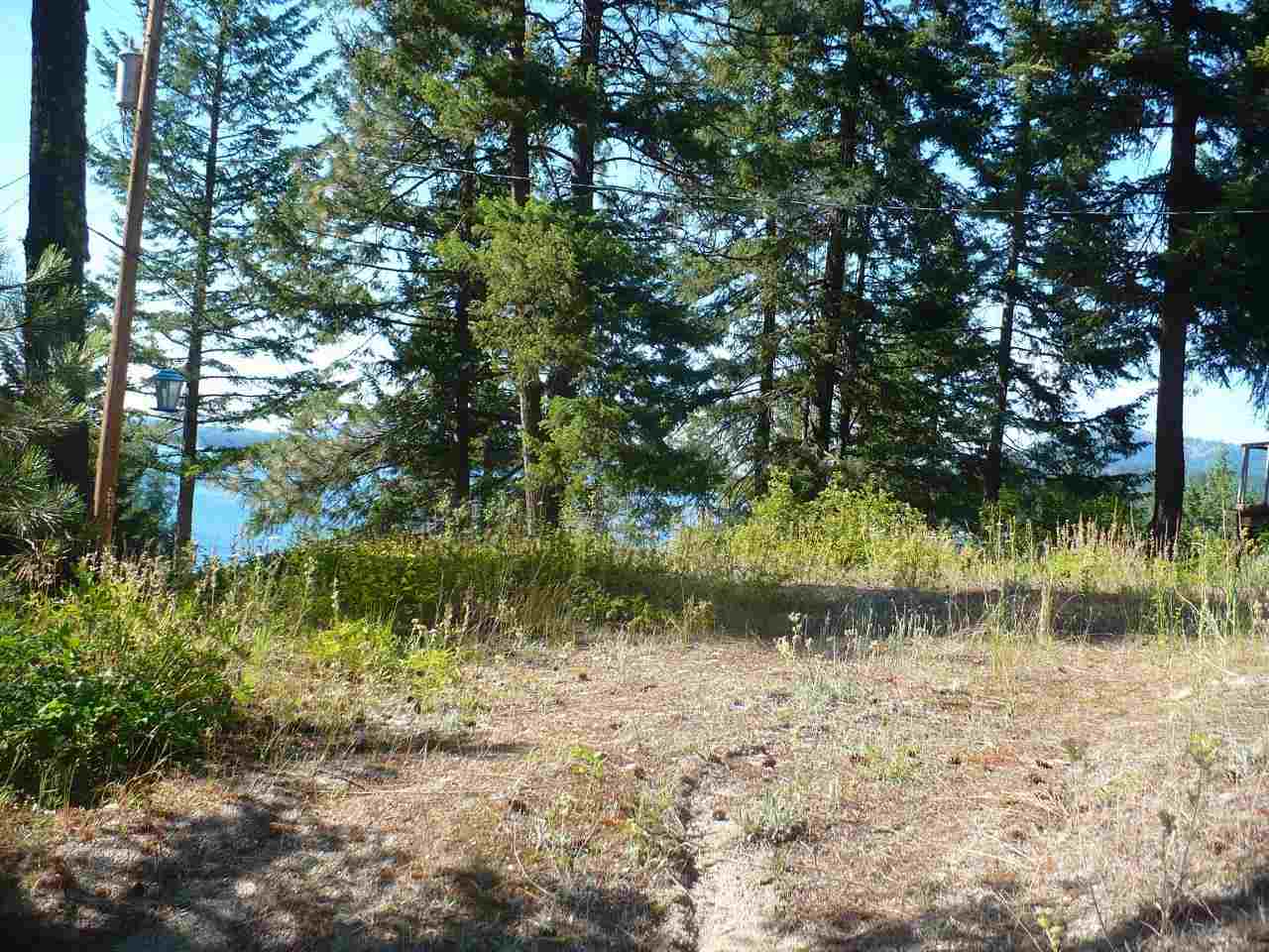 46562 Cedar Beau Road Loon Lake, WA 99148 - Photo 9 of 13