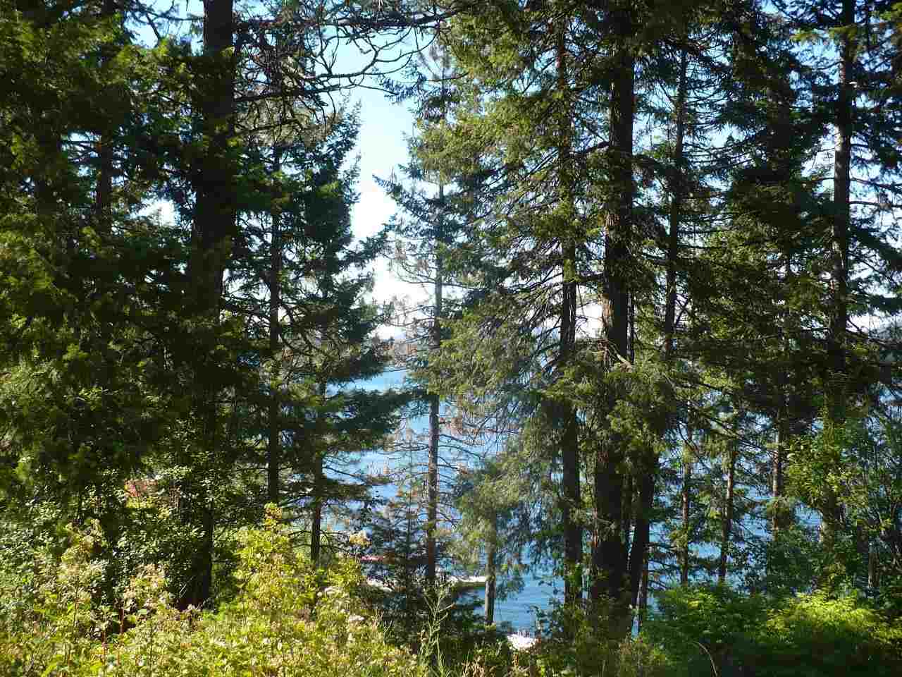 46562 Cedar Beau Road Loon Lake, WA 99148 - Photo 10 of 13