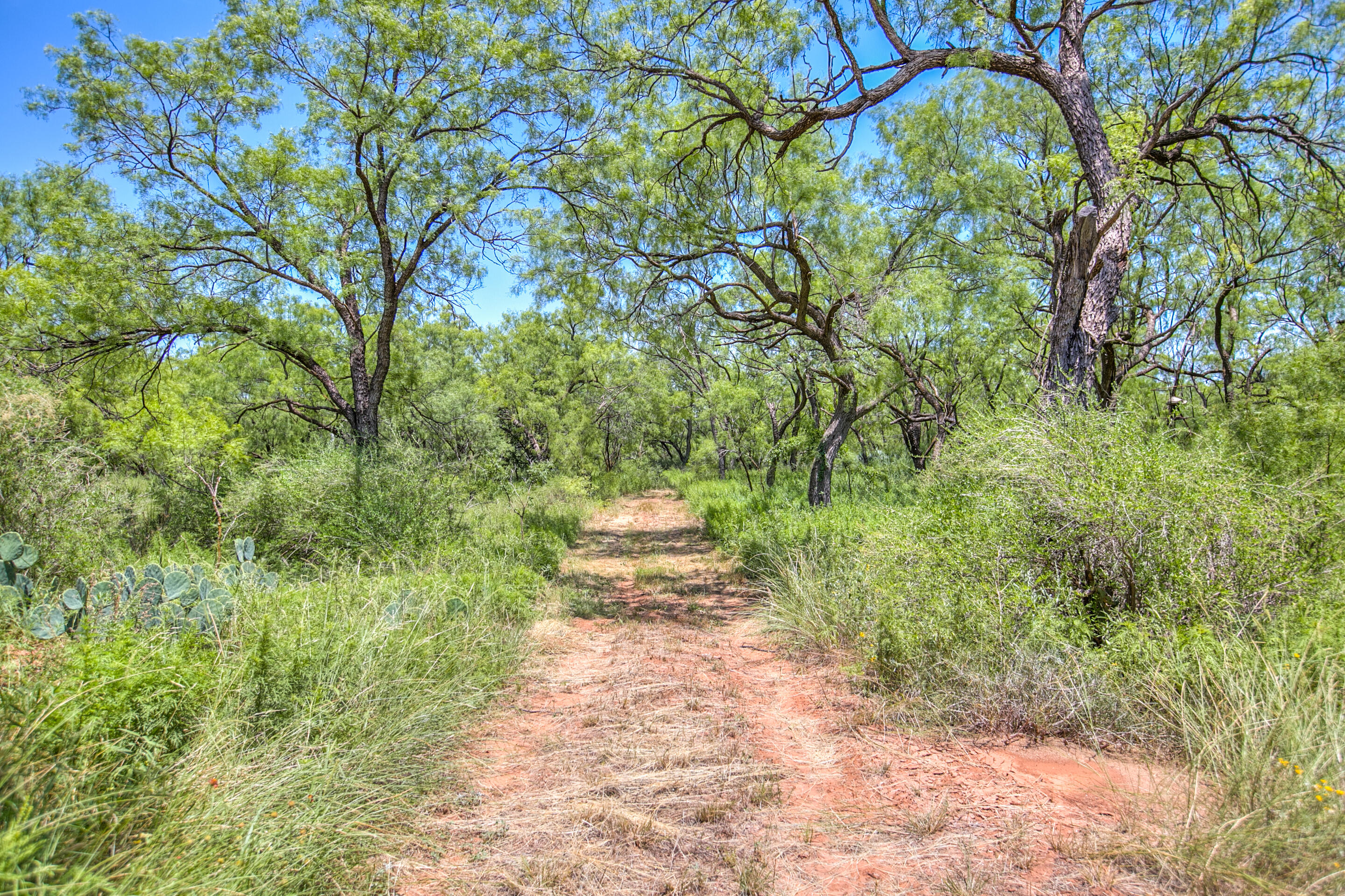 281 2884 Ballinger, TX 76821 - Photo 39 of 48 6L4A7843_4_5_6_7