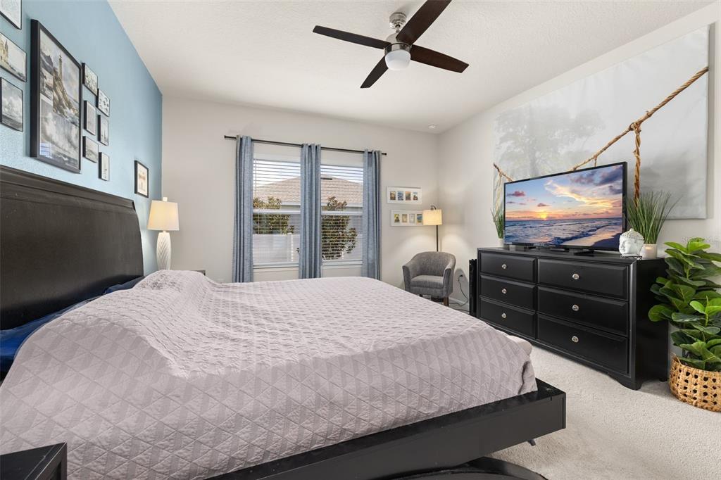 367 August Fern Loop Mount Dora, FL 32757 - Photo 19 of 90