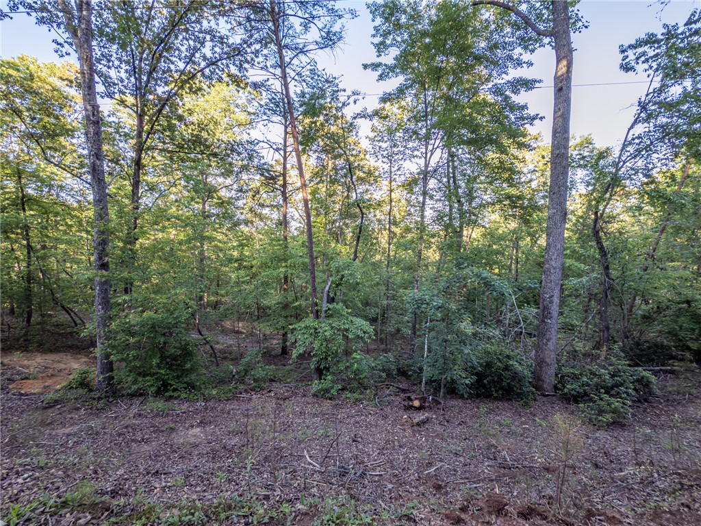 Lot 23 Old Shallowford Bridge Road Sunset, SC 29685 - Photo 6 of 15
