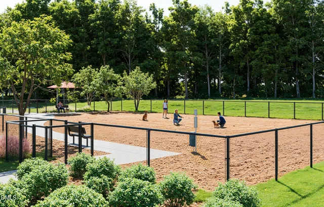 a view of a park with large trees