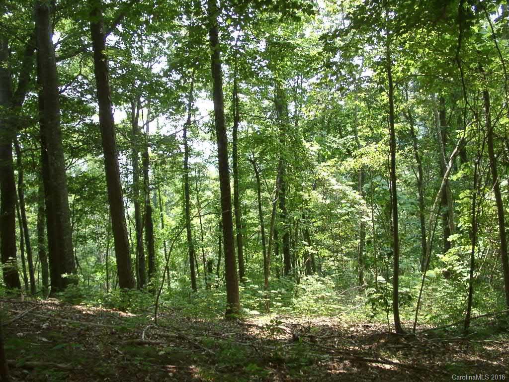 93 Rising Sun Road, Unit 93 Mars Hill, NC 28754 - Photo 1 of 13 Gallery Image 1
