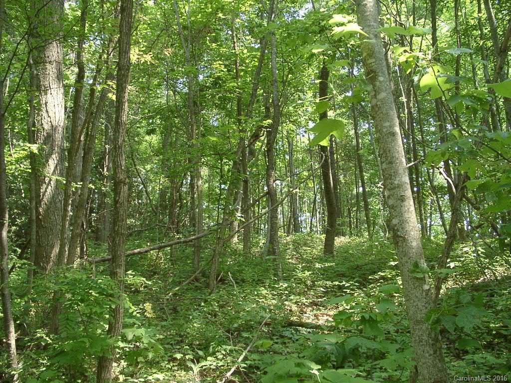 93 Rising Sun Road, Unit 93 Mars Hill, NC 28754 - Photo 2 of 13 Gallery Image 2