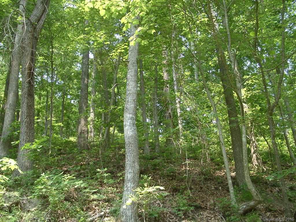 93 Rising Sun Road, Unit 93 Mars Hill, NC 28754 - Photo 5 of 13 Gallery Image 5