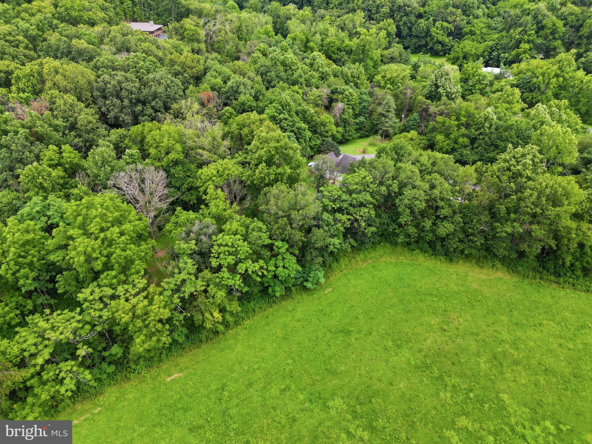 1530 Compton Hollow Road Rileyville, VA 22650 - Photo 43 of 60 Gallery Image 43