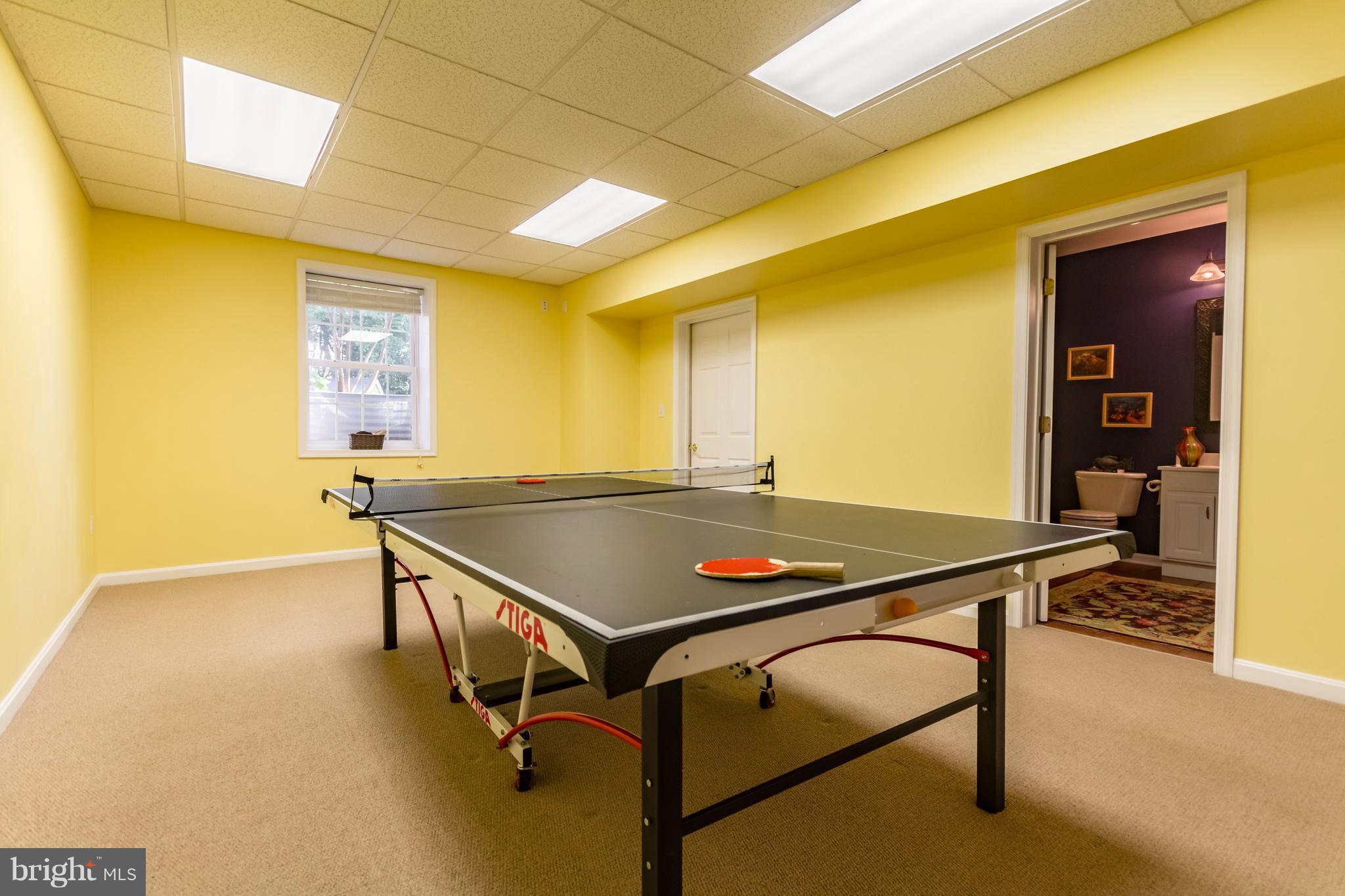 1252 Apple Pie Ridge Road Winchester, VA 22603 - Photo 27 of 30 Basement