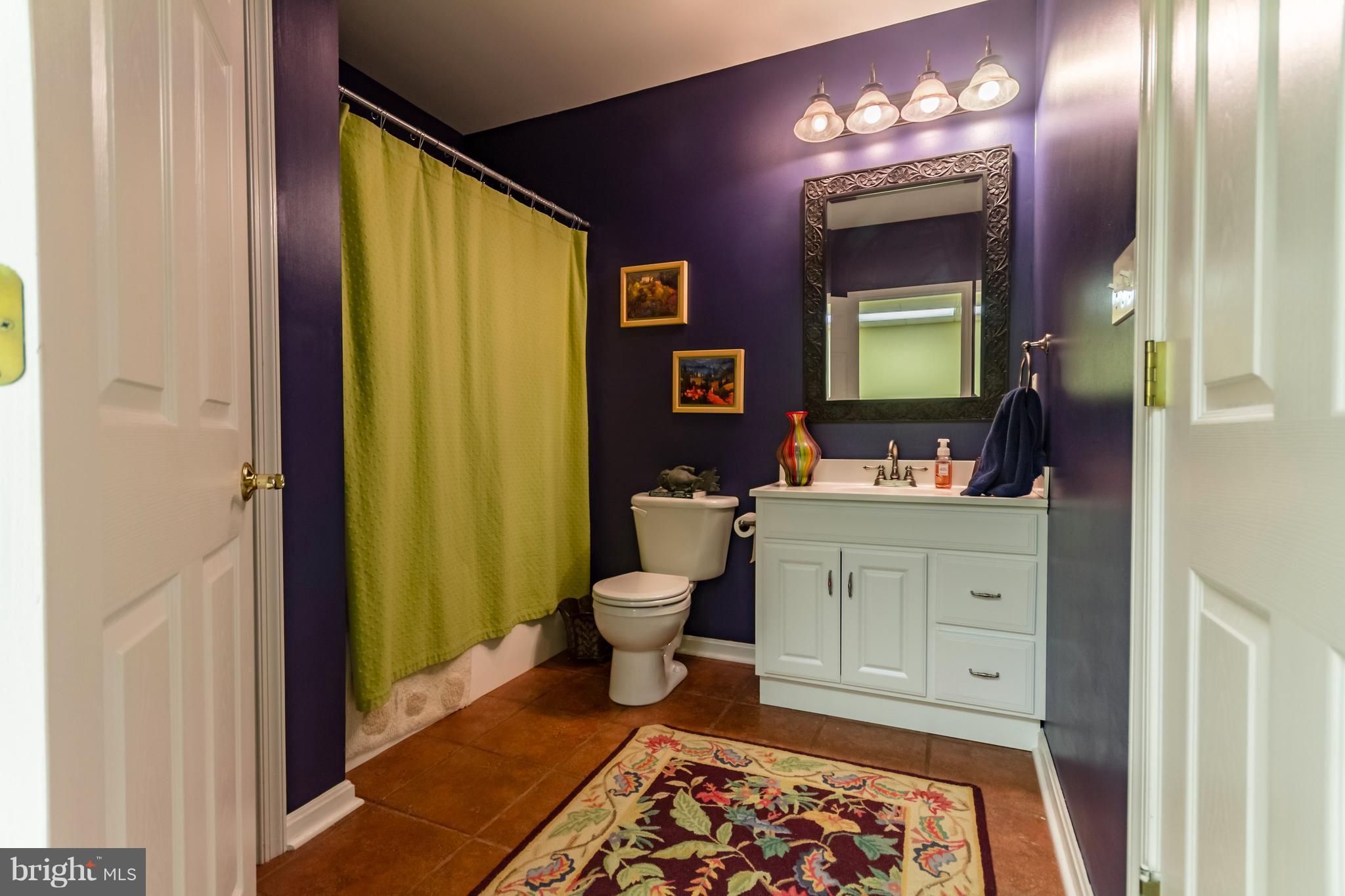 1252 Apple Pie Ridge Road Winchester, VA 22603 - Photo 28 of 30 Basement