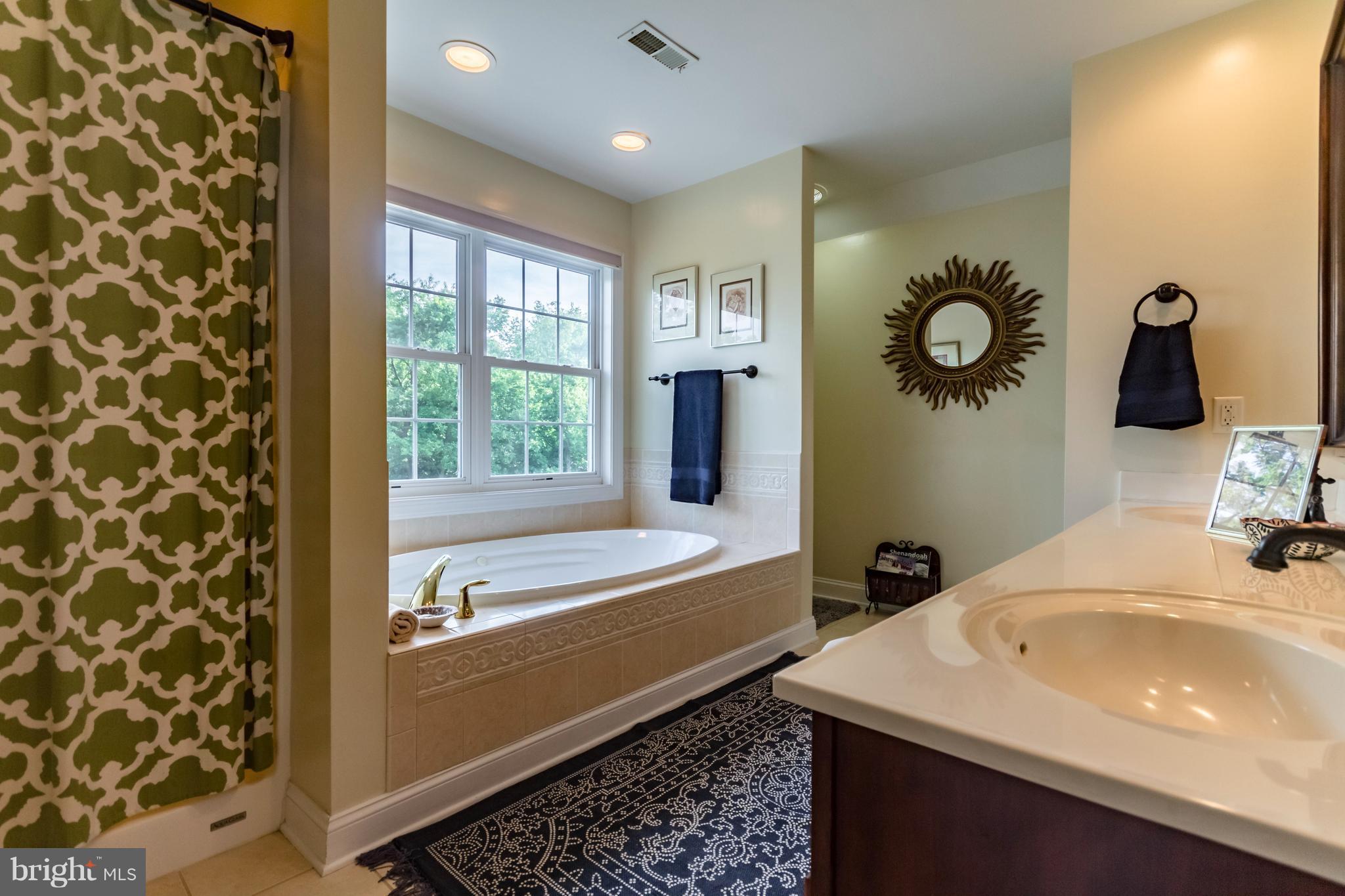 1252 Apple Pie Ridge Road Winchester, VA 22603 - Photo 8 of 30 Bath (Master)