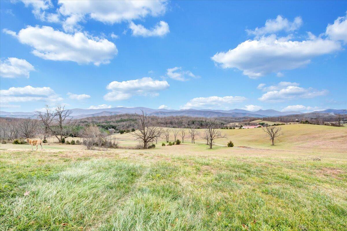 4809 Frontage Road Buchanan, VA 24066 - Photo 36 of 44 42-MIB09684
