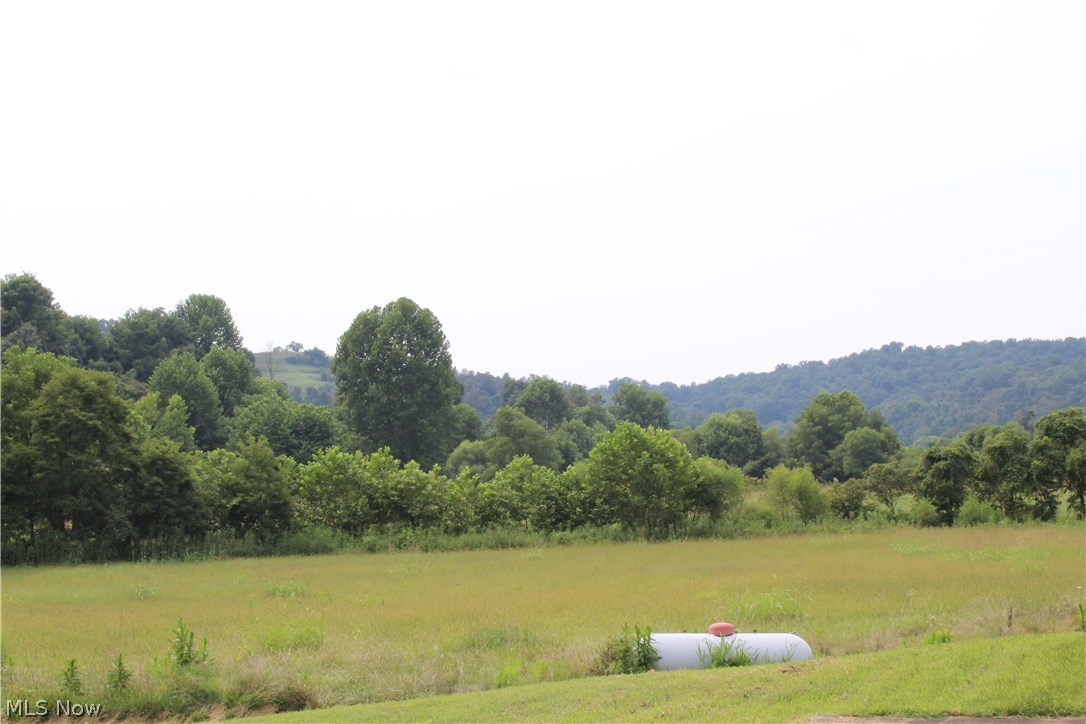 2380 Lee Creek Road Belleville, WV 26133 - Photo 23 of 23