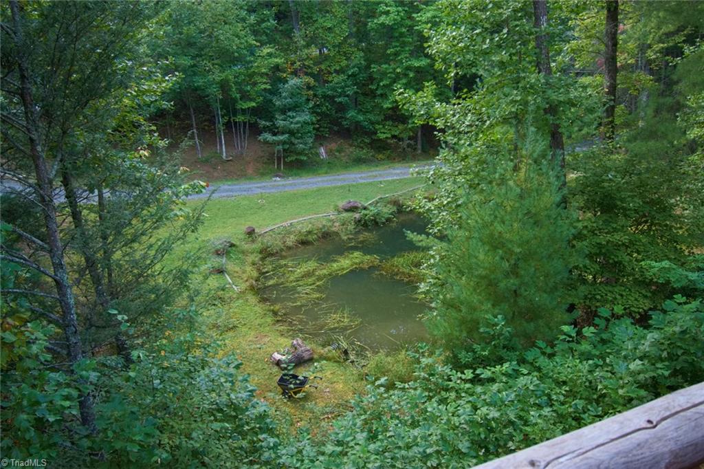 1625 Staghorn Road Purlear, NC 28665 - Photo 49 of 50