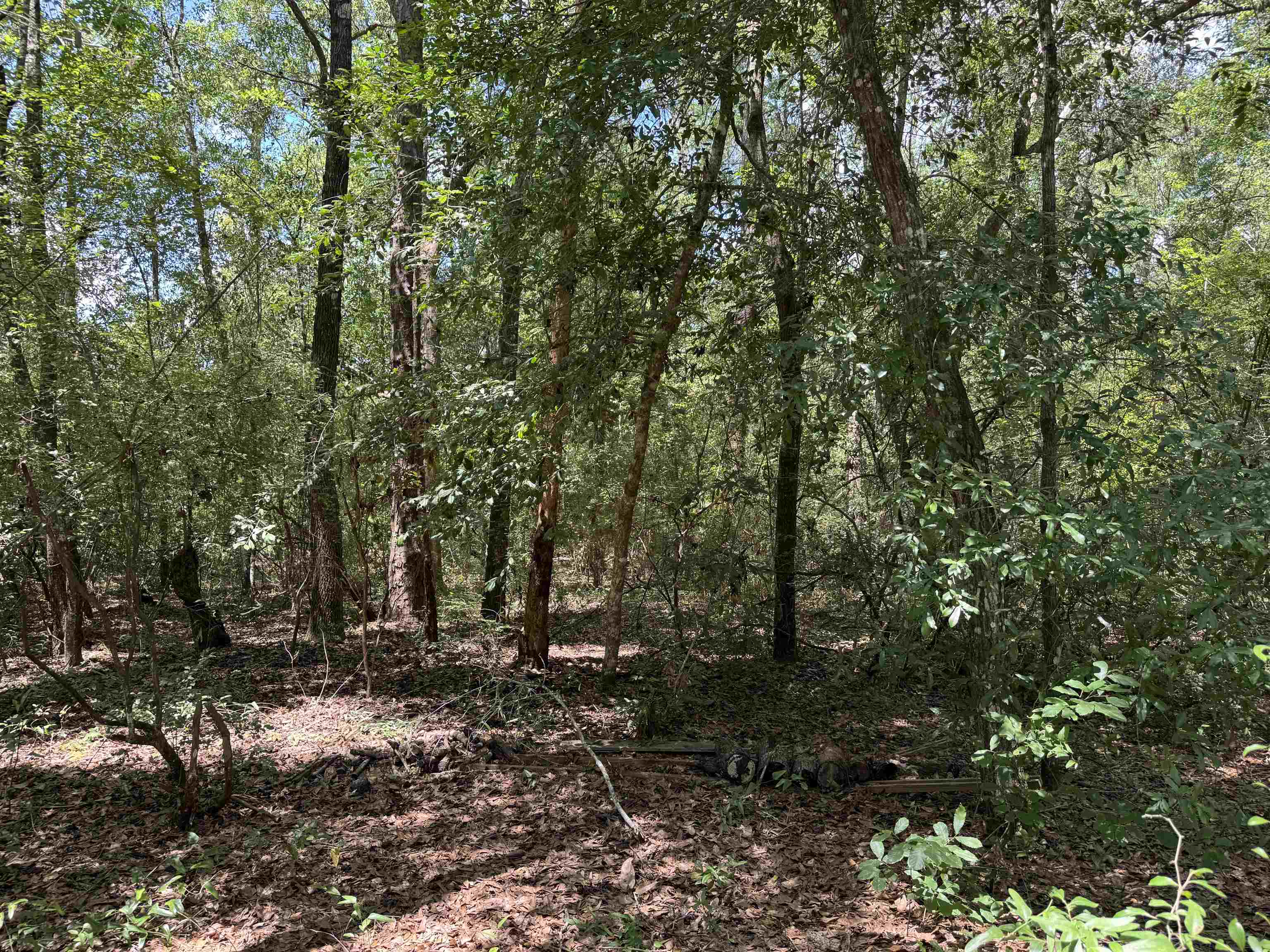 4294 Wainwright Road Tallahassee, FL 32310 - Photo 37 of 46