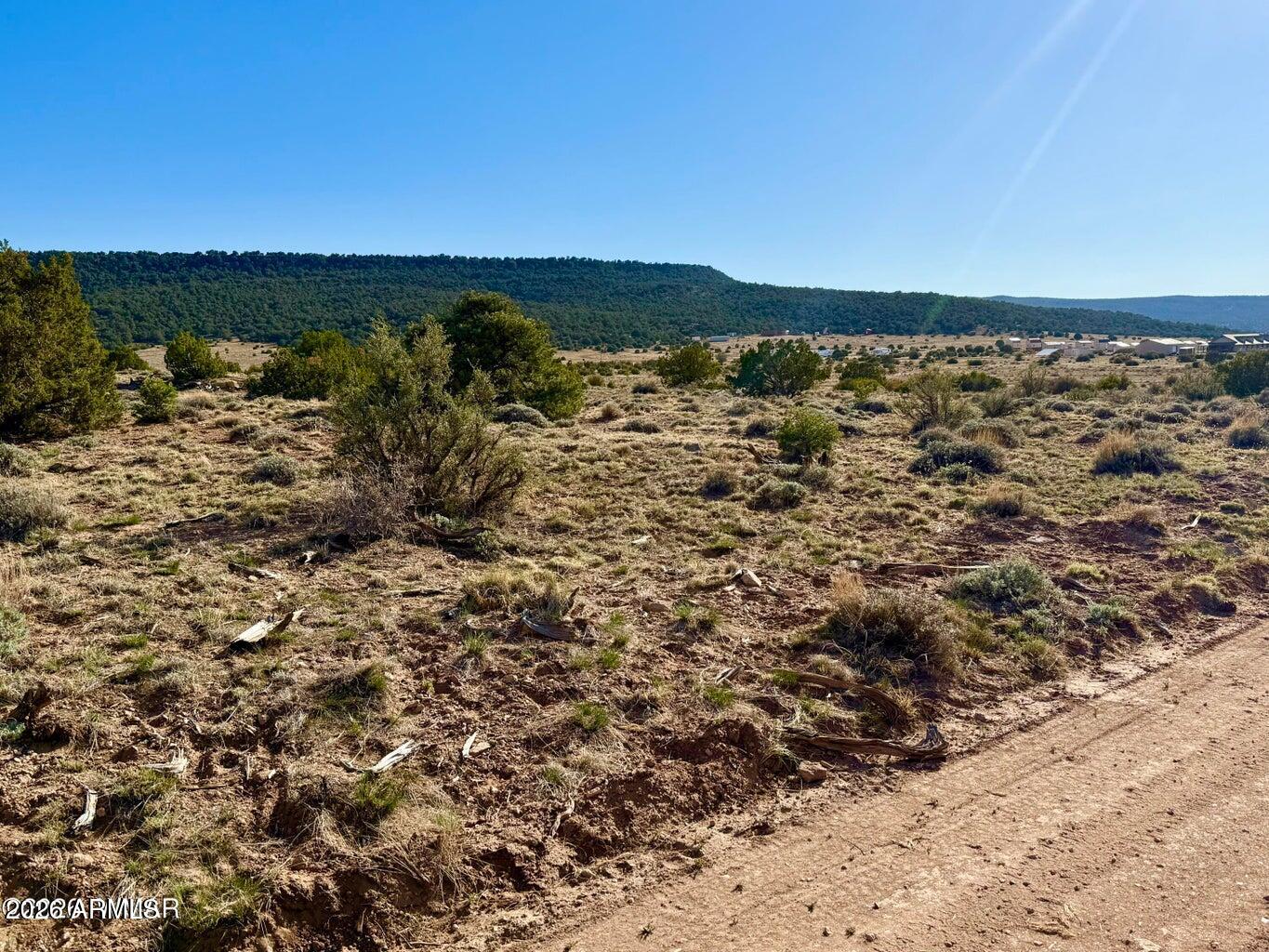 85 Co Road Concho, AZ 85924 - Photo 6 of 24 a view of lake view and mountain view