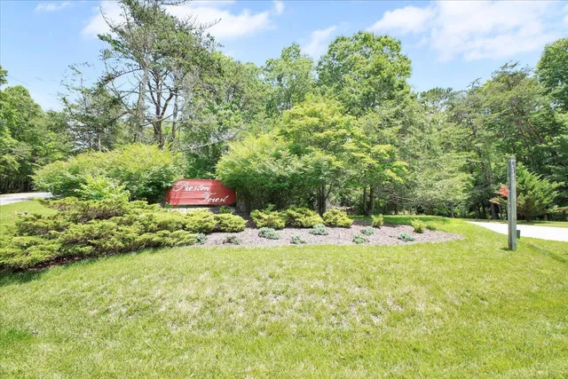 a view of a backyard with plants and large trees