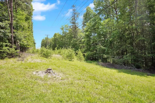 a view of yard with green space