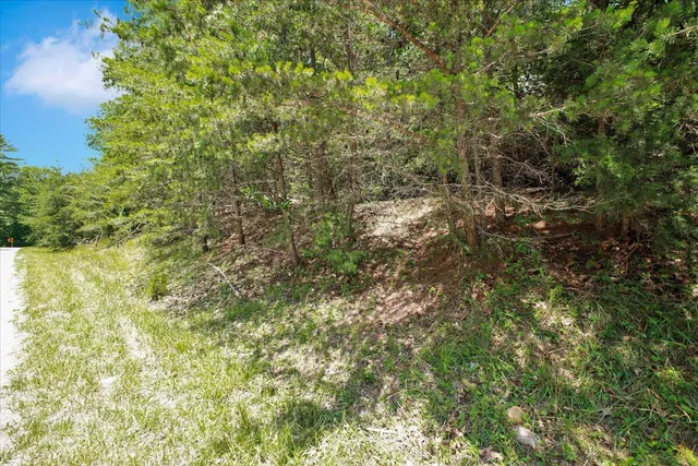 a view of a field of grass and trees