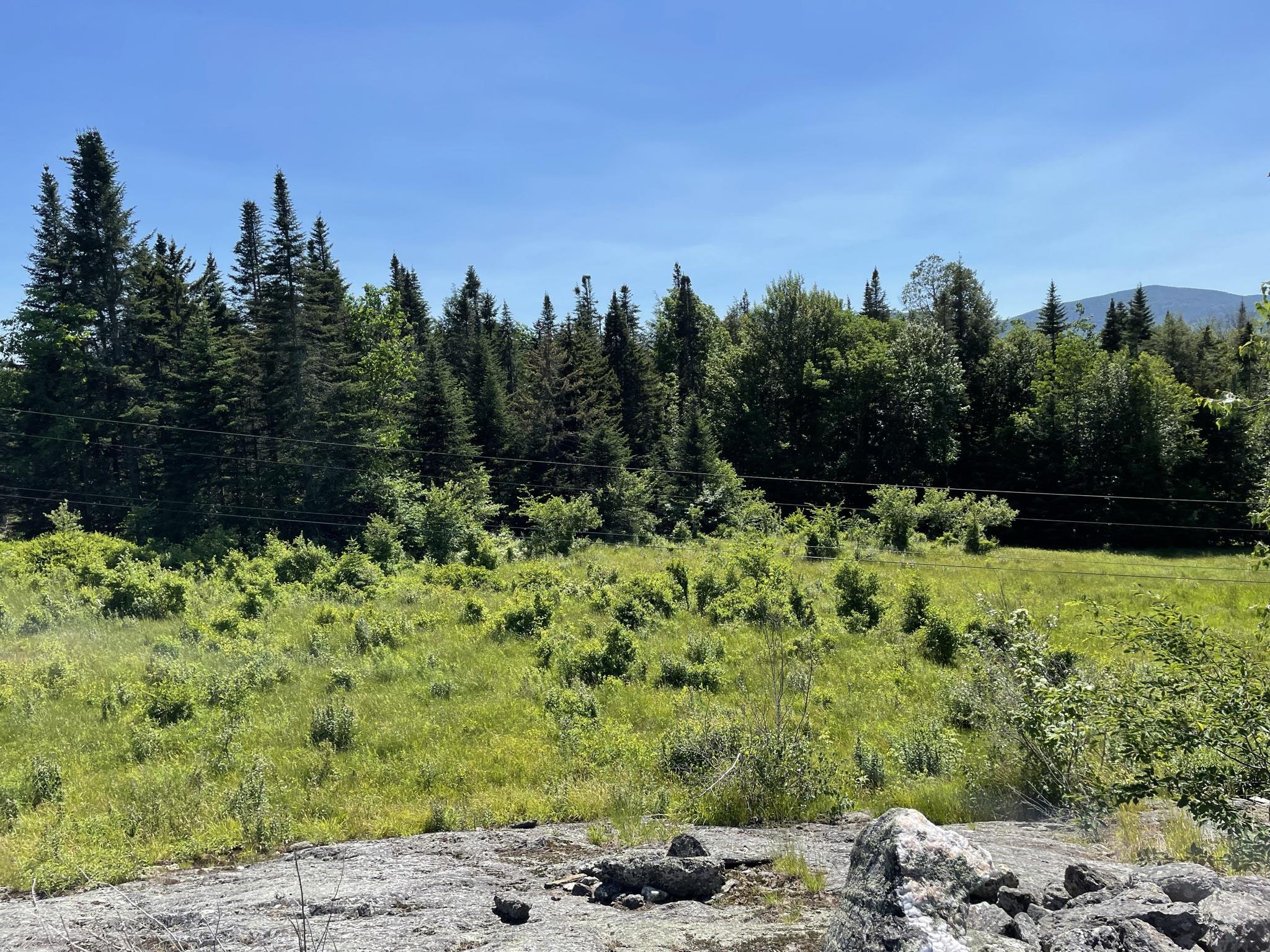 2600 North Hollow Road Rochester, VT 05767 - Photo 1 of 12