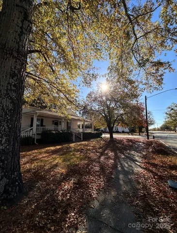 a view of a yard with a house and a large tree