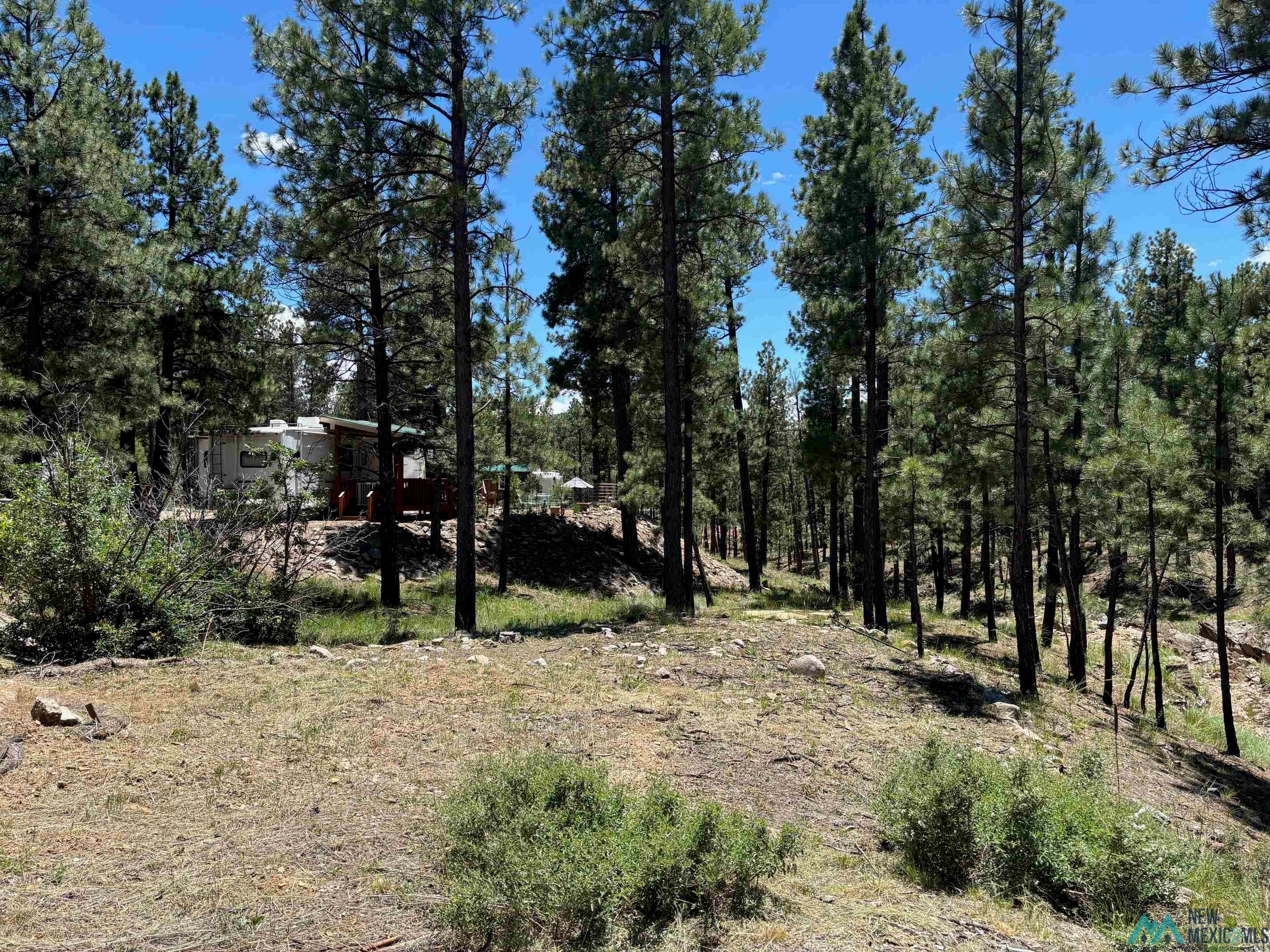 65 Club House Drive Rociada, NM 87742 - Photo 5 of 14