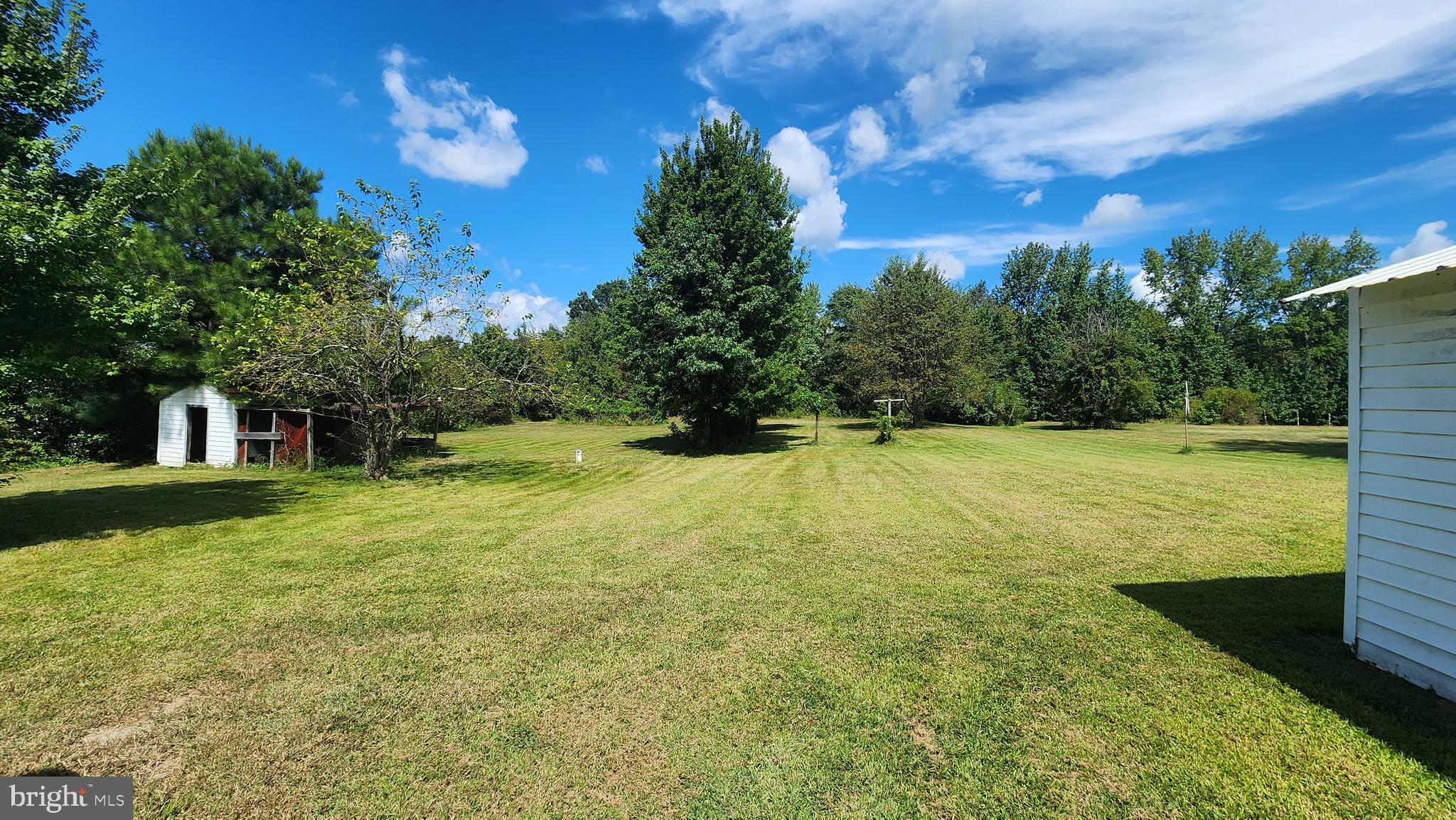 6289 Mud Mill Road Camden Wyoming, DE 19934 - Photo 4 of 10 a view of a garden