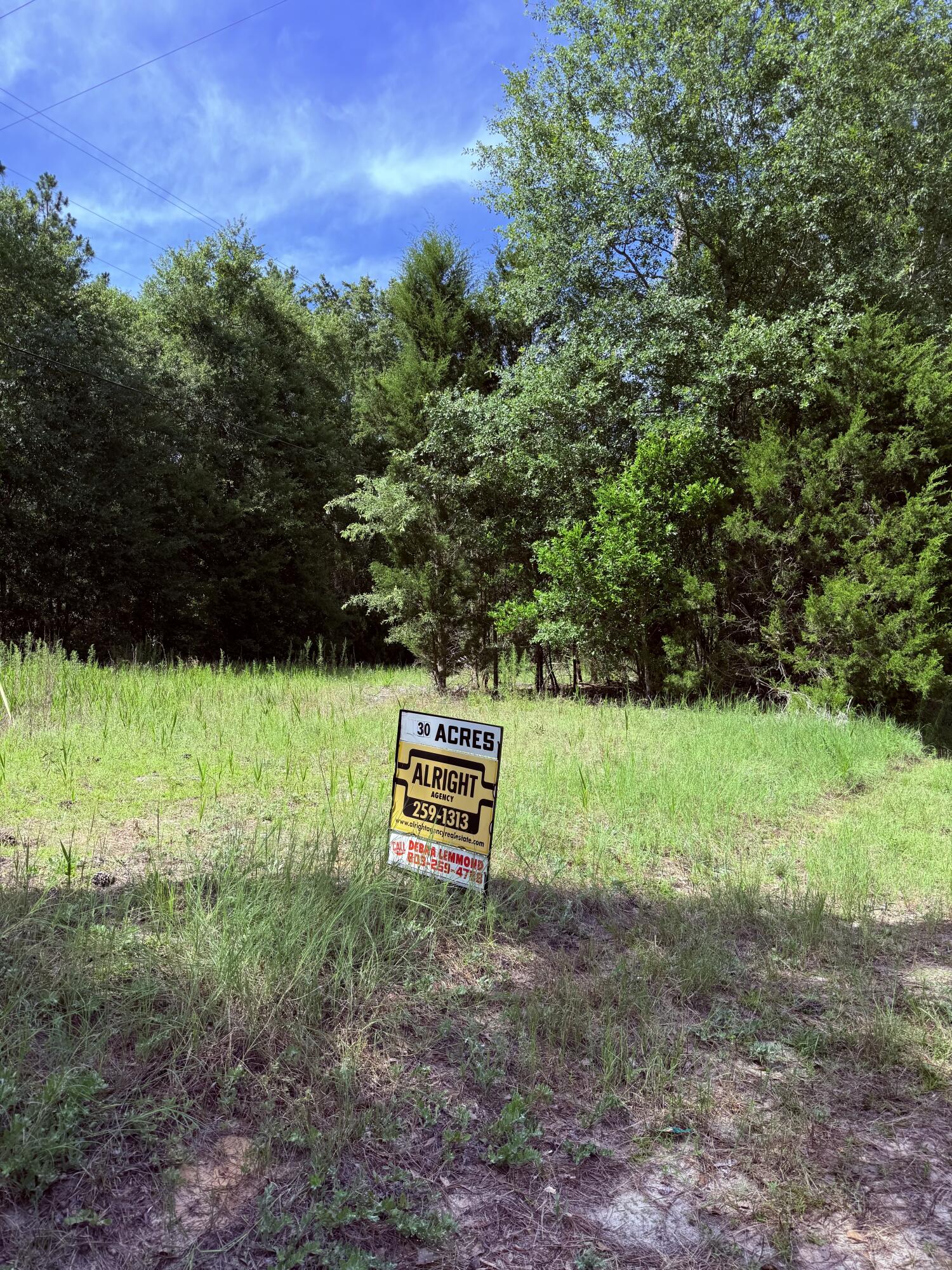 5827 Reynolds Road Blackville, SC 29817 - Photo 7 of 8 Gallery Image 7