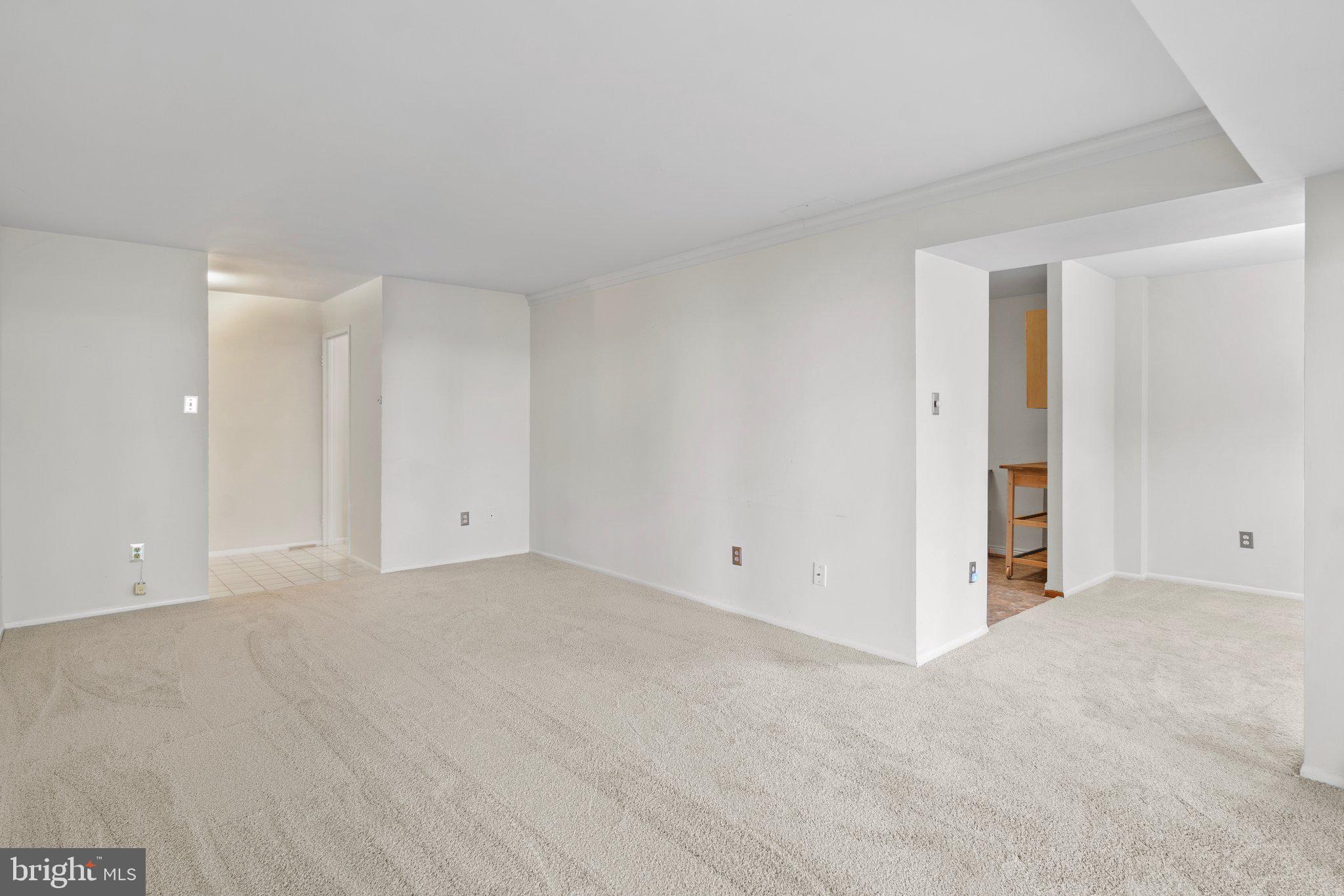 2002 Colts Neck Road, Unit 1A Reston, VA 20191 - Photo 13 of 22 Living room - new carpet