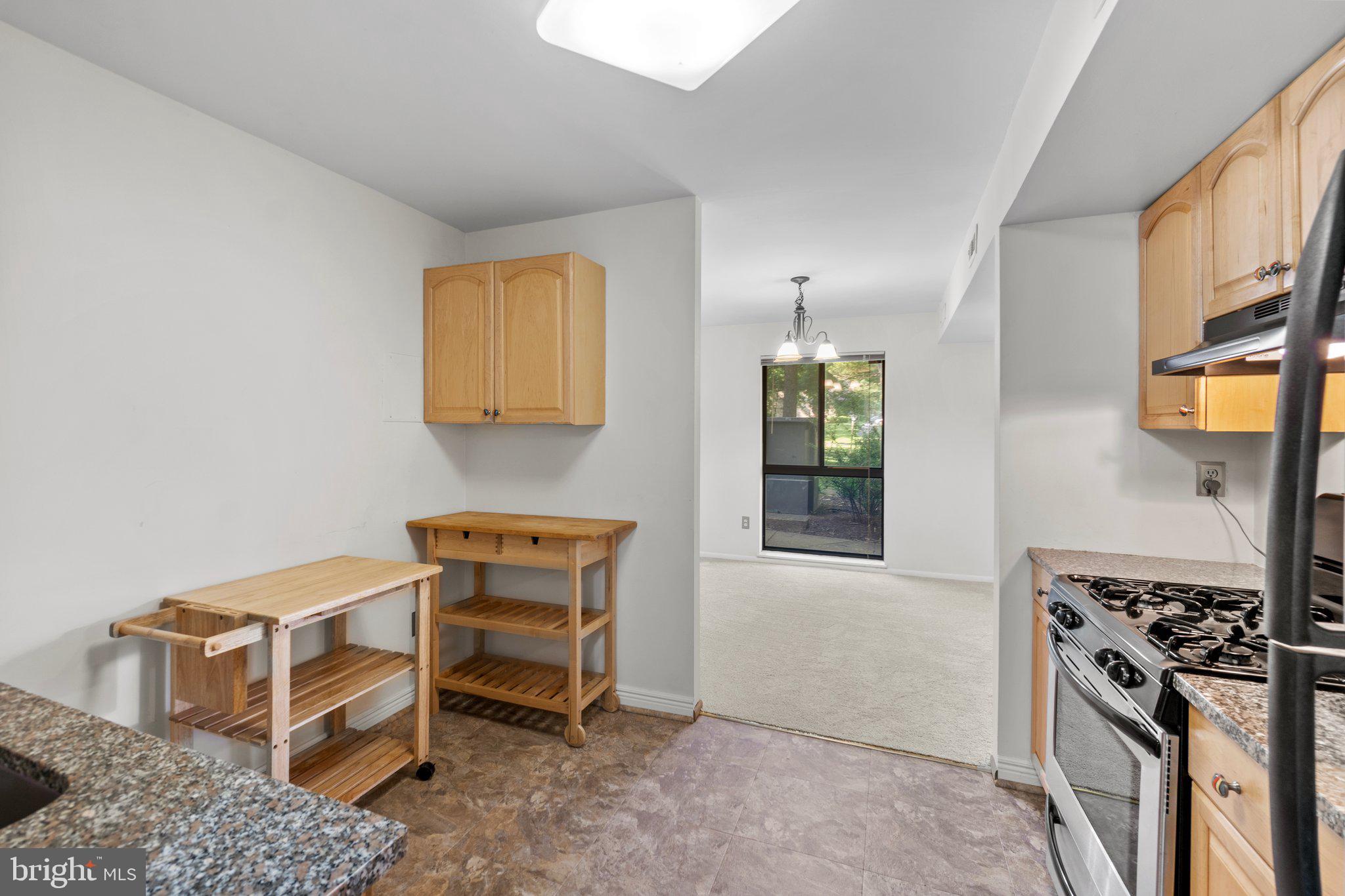 2002 Colts Neck Road, Unit 1A Reston, VA 20191 - Photo 10 of 22 Kitchen carts convey