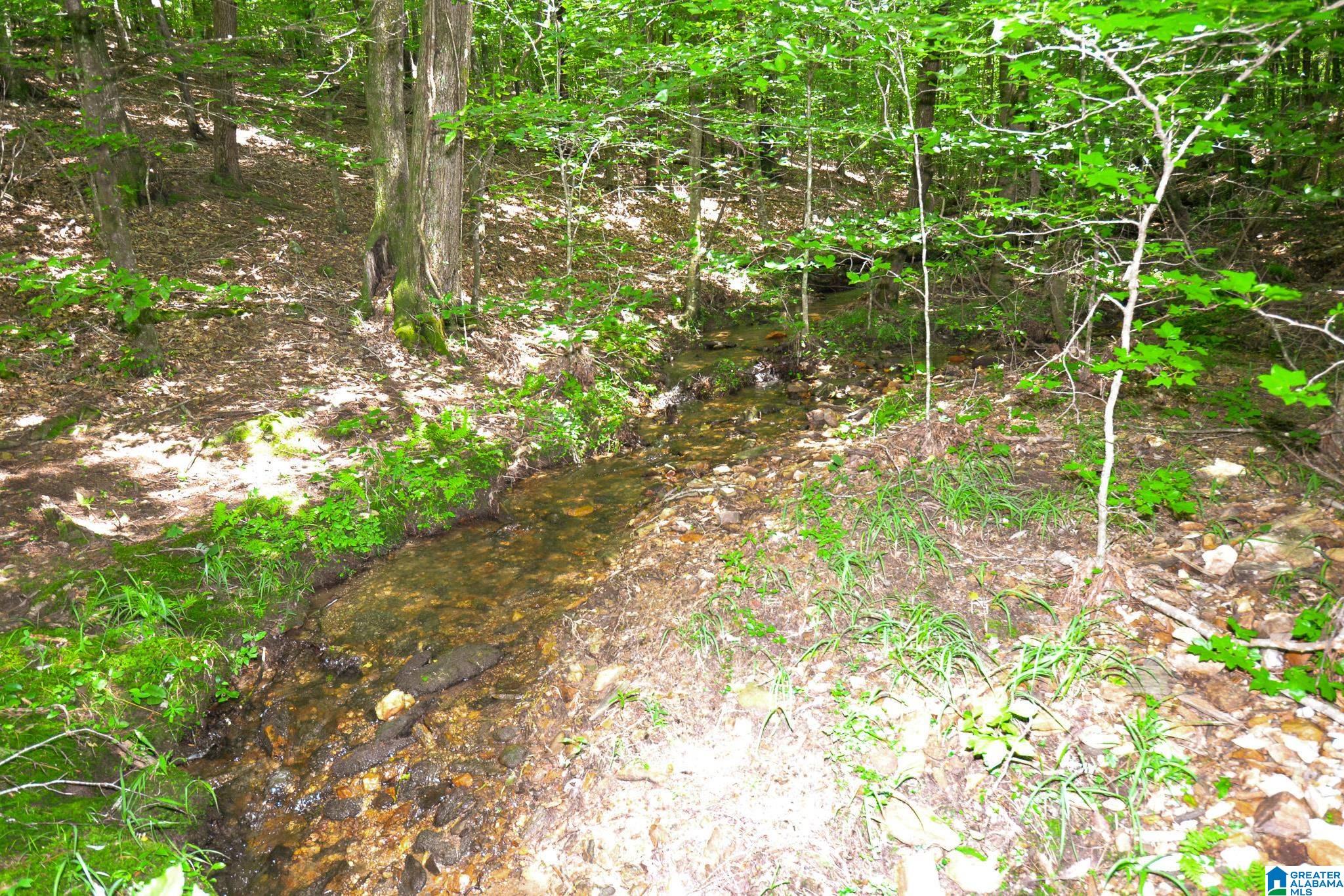 1540 Pepper Road, Unit 49 / ACRES Ashland, AL 36251 - Photo 7 of 31