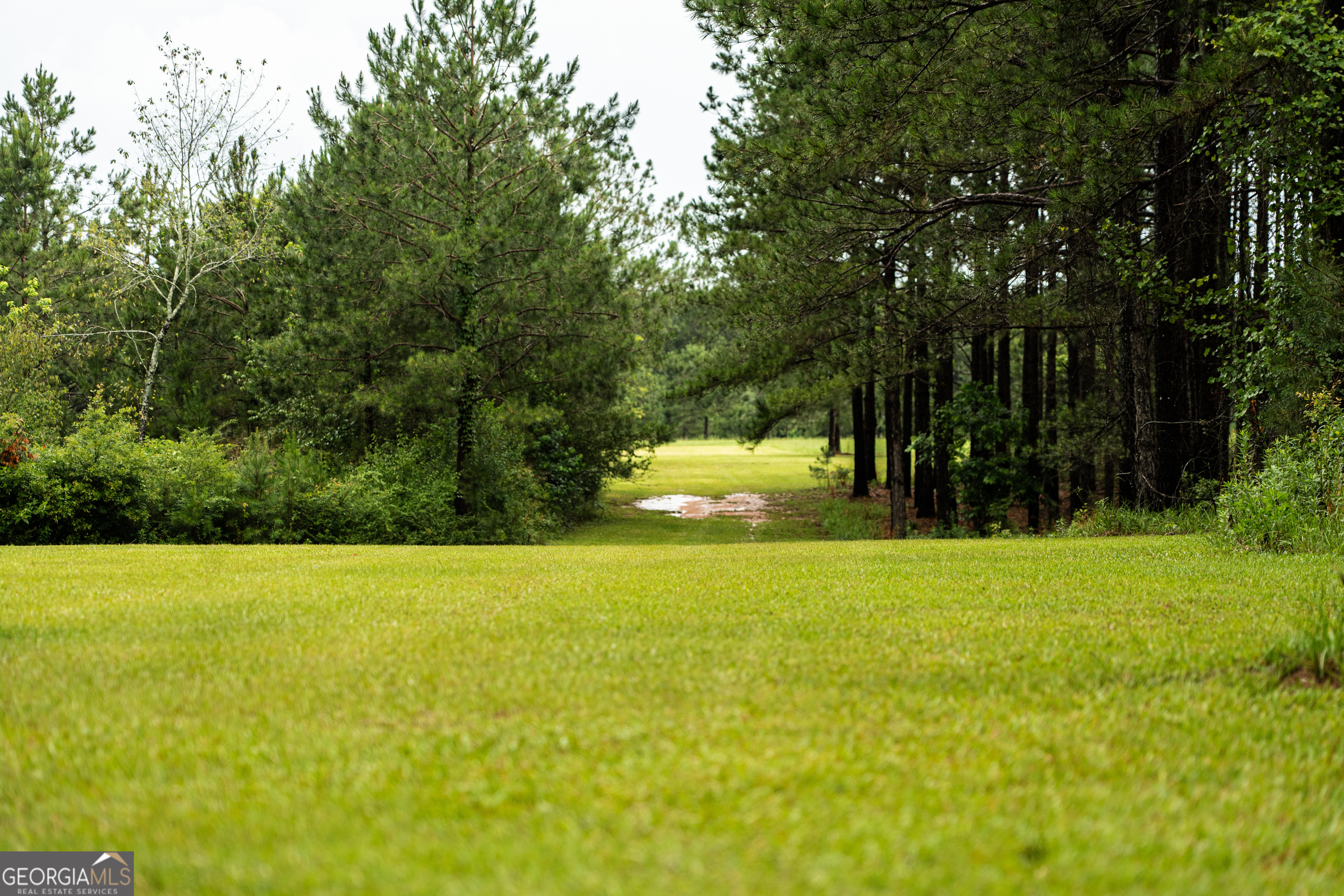 990 Highway 49 Americus, GA 31719 - Photo 21 of 121