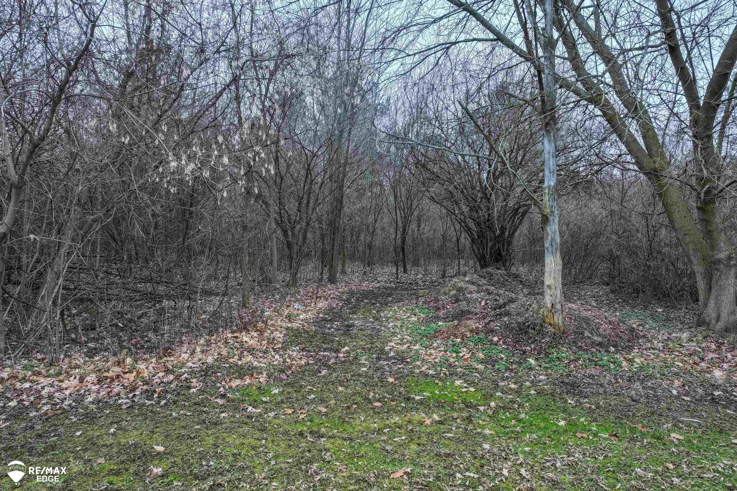 8408 North Webster Road Clio, MI 48420 - Photo 43 of 45 50131080-0c5b249b-2fb4-49b2-bcb0-c9412debee58.JPG