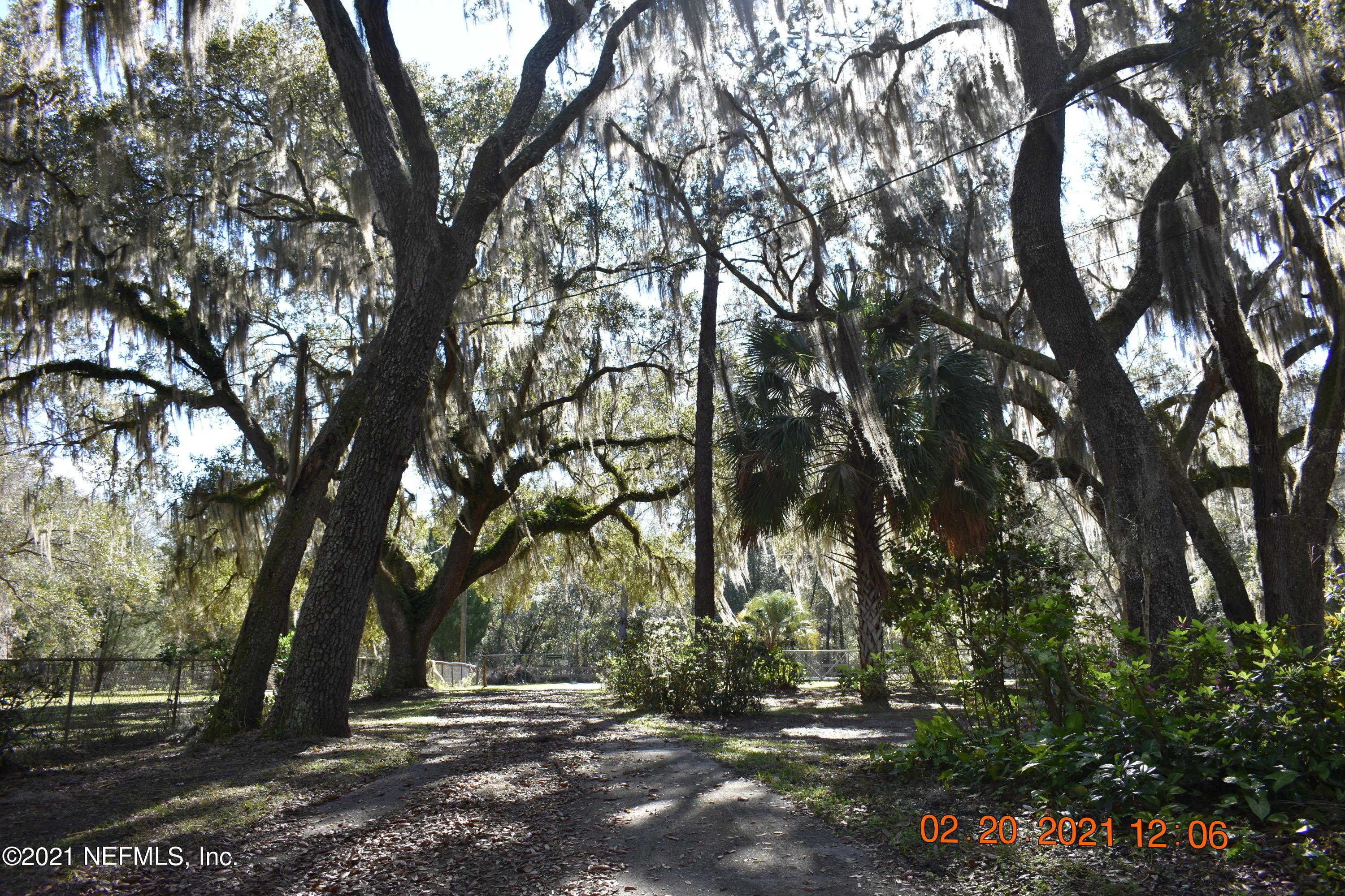 106 Cowpen Lake Point Road Hawthorne, FL 32640 - Photo 20 of 73 MTC_5163