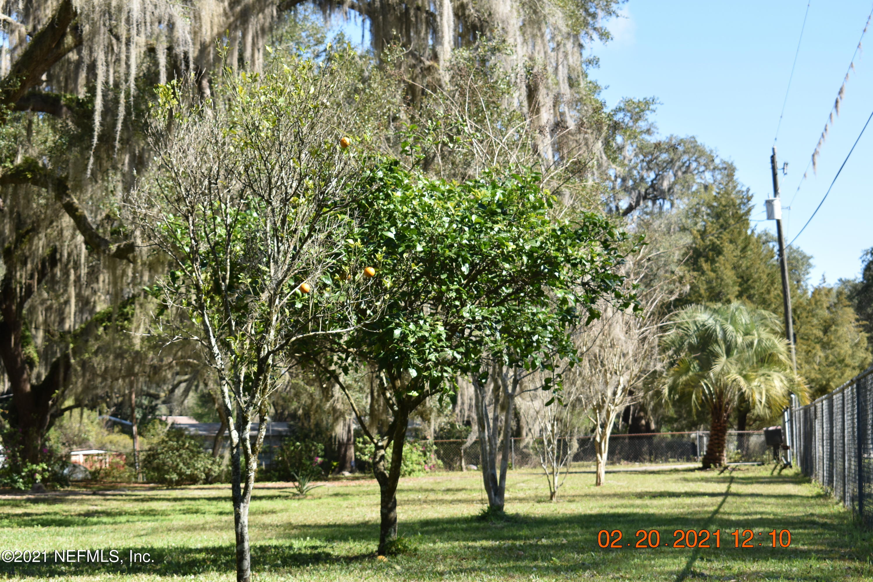 106 Cowpen Lake Point Road Hawthorne, FL 32640 - Photo 63 of 73 MTC_5171