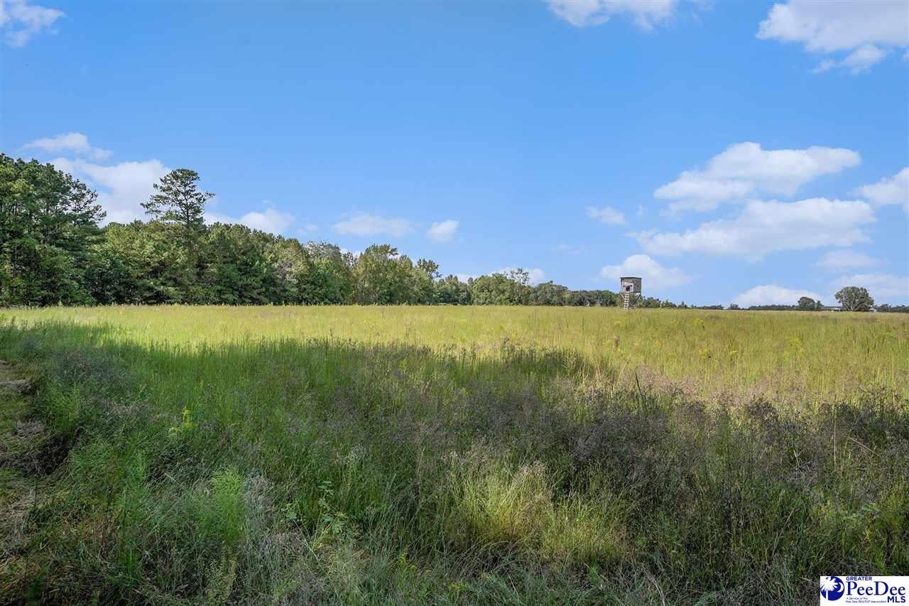 221 East Bay Road Gresham, SC 29546 - Photo 38 of 40 Gallery Image 38
