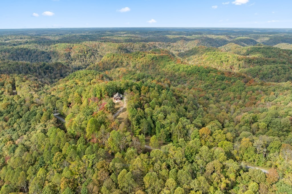 604 Hickory Hilham, TN 38568 - Photo 30 of 38 a view of an ocean