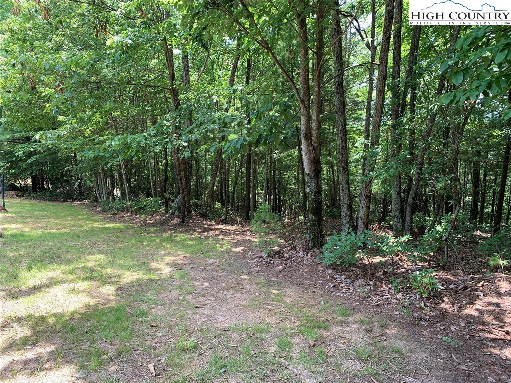 305 Wolf Pen Road Purlear, NC 28665 - Photo 16 of 40 a view of outdoor space with trees all around